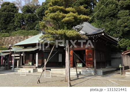 池上大坊本行寺 池上大坊本行寺 131321441