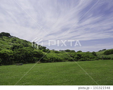 シャコタンブルーへの道しるべ 131321548