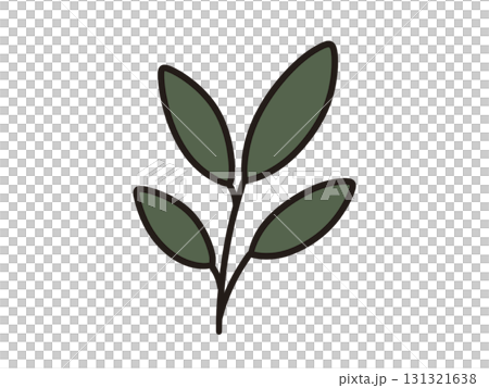 Illustration of a leaf 131321638