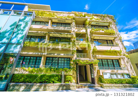 日本の東京都市景観 東京・表参道の緑溢れる並木や表参道ヒルズ・同潤館などを望む 131321802