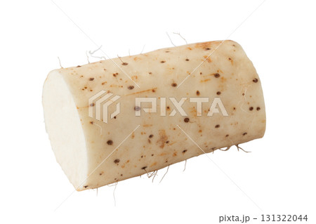 透明背景（png）に長芋 131322044