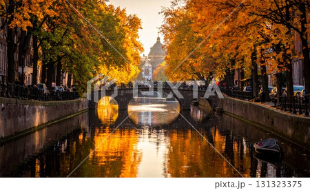 都市の川、両岸に秋色の木々、橋と水面に映る黄金色の光 都市の川、両岸に秋色の木々、橋と水面に映る黄金色の光 131323375