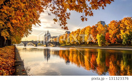都市の川、両岸に秋色の木々、橋と水面に映る黄金色の光 都市の川、両岸に秋色の木々、橋と水面に映る黄金色の光 131323376