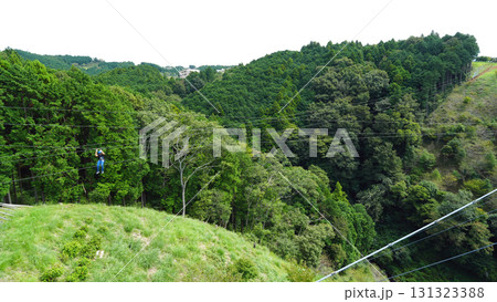 ジップライン（三島スカイウォーク） 131323388