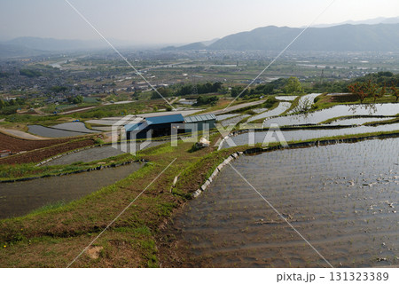 Tanada，Obasute rice field / 春の晴天下に田植えを終えたばかりの棚田の風景 131323389