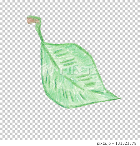 Green leaf. Hand-drawn with colored pencils, suitable for stickers, posters, or cards. Plant, leaf, green, garden, foliage 131323579