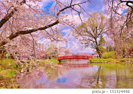 長野県須坂市臥竜公園の桜 131324498