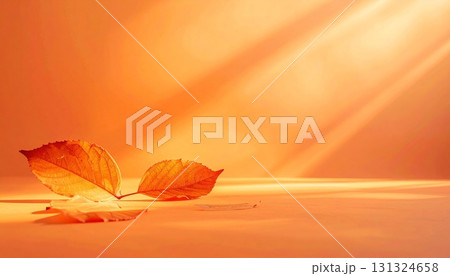 フラットマットなバーントオレンジ背景、柔らかい拡散光 131324658