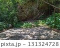 沖縄 斎場御嶽 大庫理 131324728