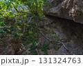 沖縄 斎場御嶽の風景 131324763