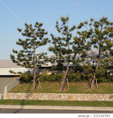 淡路島 アクアイグニス 131324765