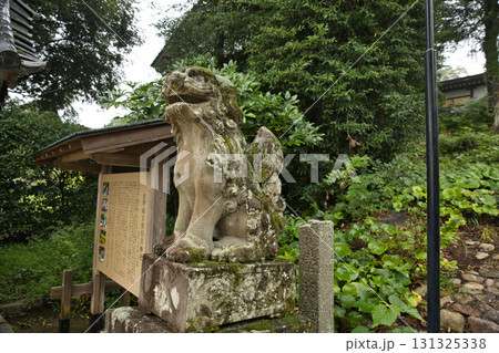 海の京都 さんのうさん参道の苔むした狛犬(阿形) 海の京都 さんのうさん参道の苔むした狛犬(阿形) 131325338