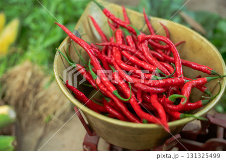 Freshly Harvested Red Chili Peppers, Vibrant and Ready for Market Delivery Today 131325499