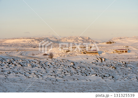 冬の西アイスランド 雪景色とアイスランドホースの美しい風景 131325539