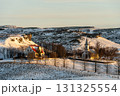 冬の西アイスランド 雪景色とアイスランドホースの美しい風景 131325554