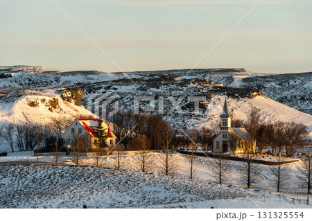 冬の西アイスランド 雪景色とアイスランドホースの美しい風景 131325554