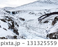 冬の西アイスランド 雪景色とアイスランドホースの美しい風景 131325559