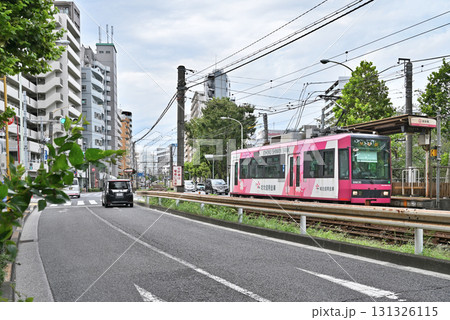 都電 荒川線 (東京さくらトラム) 8900形 (8905) 都電 荒川線 (東京さくらトラム) 8900形 (8905) 131326115
