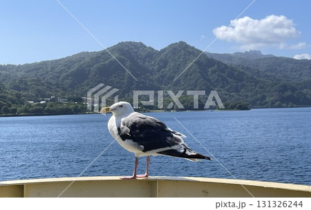 船の先端に留まるカモメ 船の先端に留まるカモメ 131326244