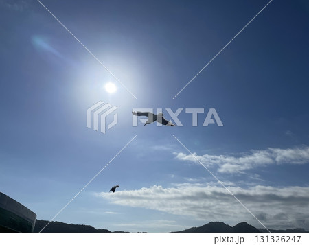 飛ぶ鳥 131326247