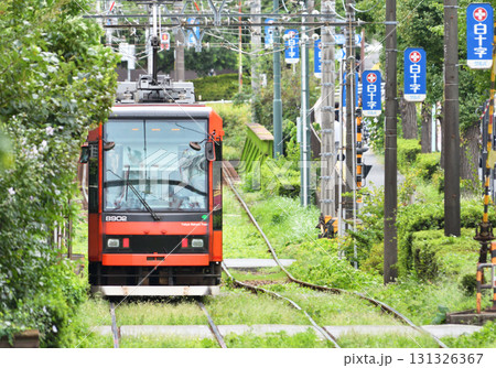 都電 荒川線 (東京さくらトラム) 8900形 (8902) 都電 荒川線 (東京さくらトラム) 8900形 (8902) 131326367
