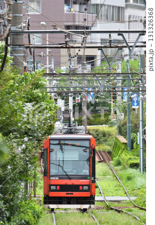 都電 荒川線 (東京さくらトラム) 8900形 (8902) 都電 荒川線 (東京さくらトラム) 8900形 (8902) 131326368