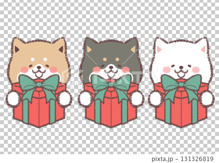 一組三隻柴犬高興地收到一份禮物 131326819