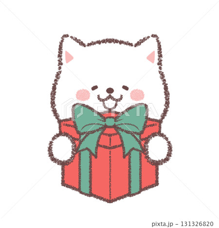 プレゼントをもらって喜ぶ白柴犬 プレゼントをもらって喜ぶ白柴犬 131326820