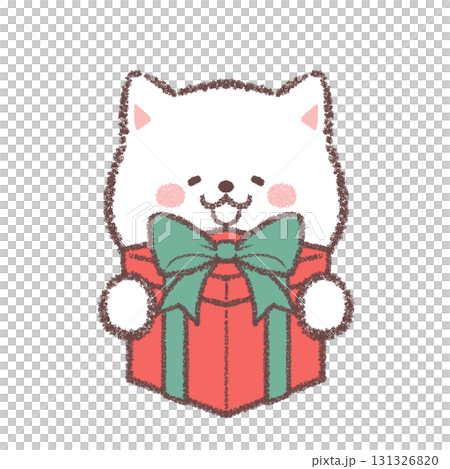 プレゼントをもらって喜ぶ白柴犬 プレゼントをもらって喜ぶ白柴犬 131326820