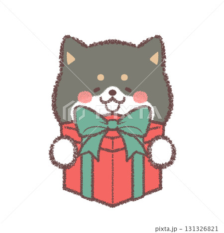 プレゼントをもらって喜ぶ黒柴犬 プレゼントをもらって喜ぶ黒柴犬 131326821