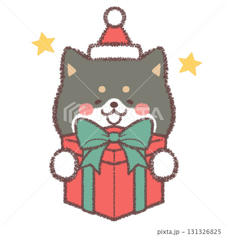 クリスマスプレゼントをもらって喜ぶ黒柴犬 クリスマスプレゼントをもらって喜ぶ黒柴犬 131326825