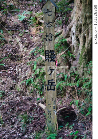 賤ヶ岳 風景 131326869