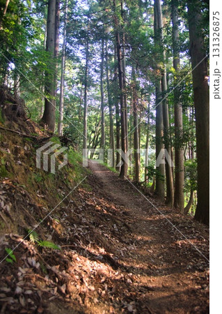 賤ヶ岳 風景 131326875