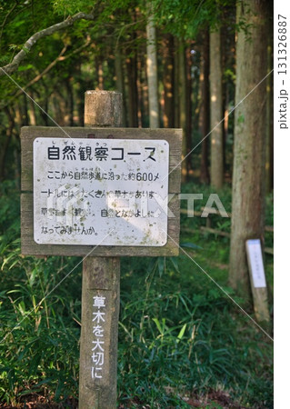 賤ヶ岳 風景 賤ヶ岳 風景 131326887