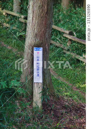 賤ヶ岳 風景 131326890