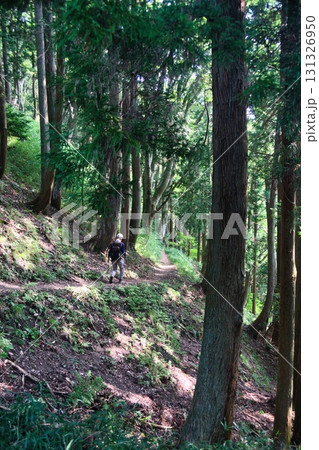 賤ヶ岳 風景 131326950