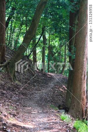 賤ヶ岳 風景 131326958