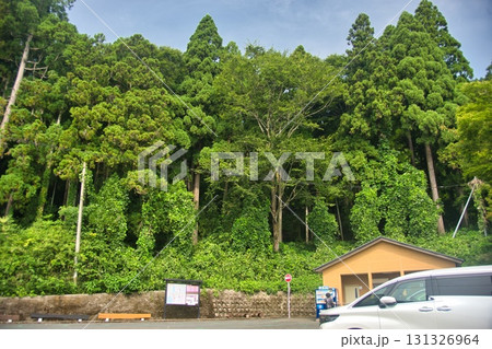 賤ヶ岳 風景 賤ヶ岳 風景 131326964