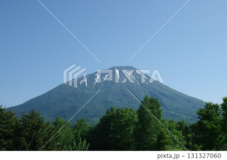 初夏　残雪の羊蹄山 131327060