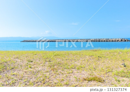 青い海と防波堤を望む夏の海岸風景 131327374