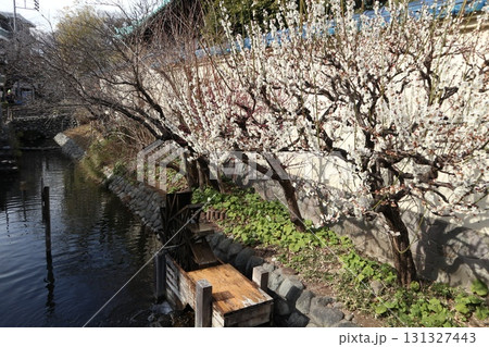 六郷用水路 131327443