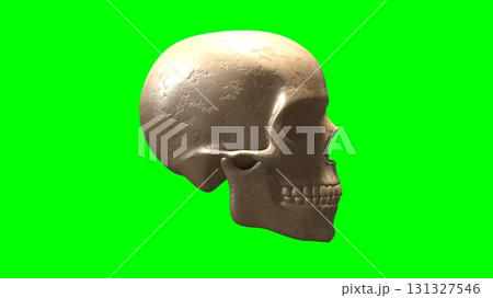 Photorealistic Human Skull on Green Screen Photorealistic Human Skull on Green Screen 131327546