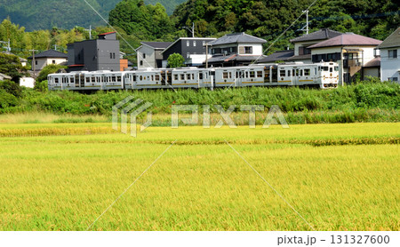 ふたつ星4047 131327600