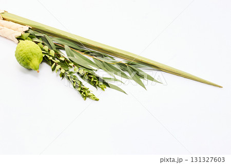 Sukkot background. Lulav and Etrog 131327603