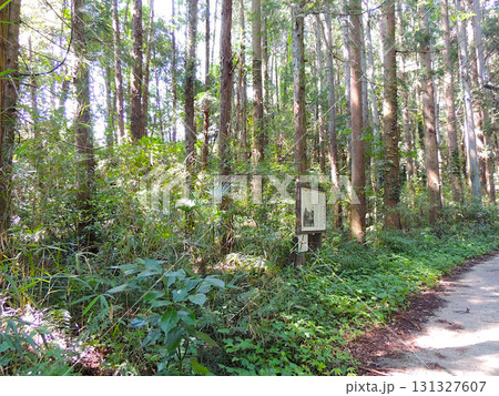 二十二番　童子堂跡地 131327607