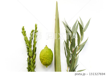 Natural Elements Arrangement. Minimalist composition of green leaves myrtle, willow and a etrog 131327694
