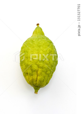 A traditional Jewish Etrog arrangement for Sukkot 131327701
