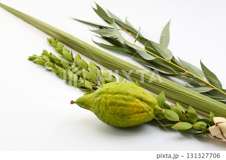 Jewish Sukkot Symbols. Traditional Sukkot symbols, including etrog and lulav 131327706
