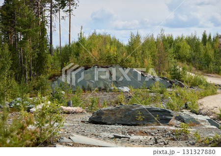 A Serene and Picturesque Forest Landscape Featuring a Unique Geological Formation A Serene and Picturesque Forest Landscape Featuring a Unique Geological Formation 131327880