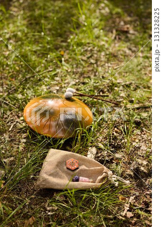 Mushroom and Fabric Pouch Positioned on a Vibrant Forest Floor, Capturing Natures Beauty 131328225
